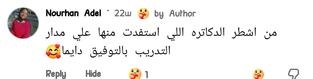 Original comment screenshot — Nourhan Adel